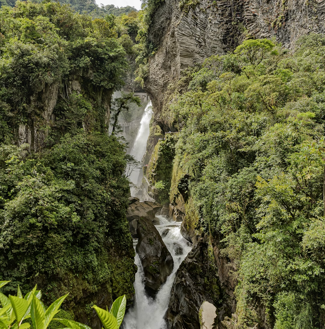 Oroverde joyería PRENDERIA COMPRAVENTA compramos oro